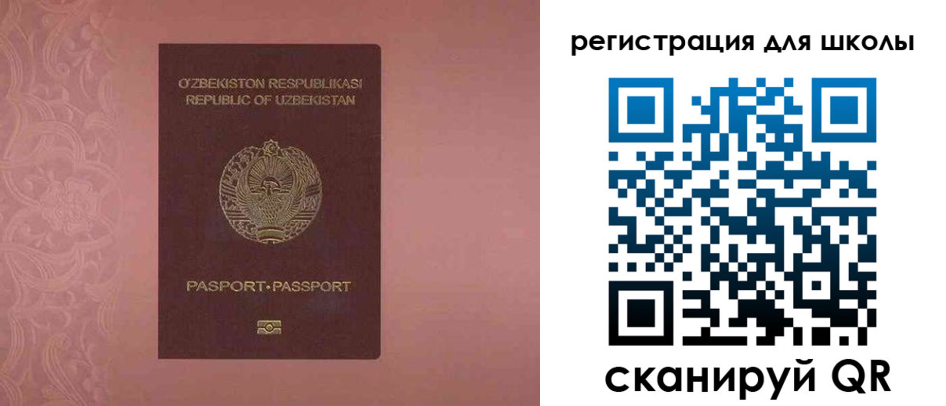 прописка для школы в Оренбургской области